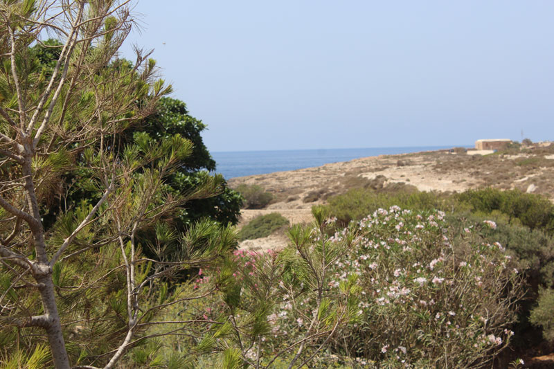 Appartamenti Lampedusa